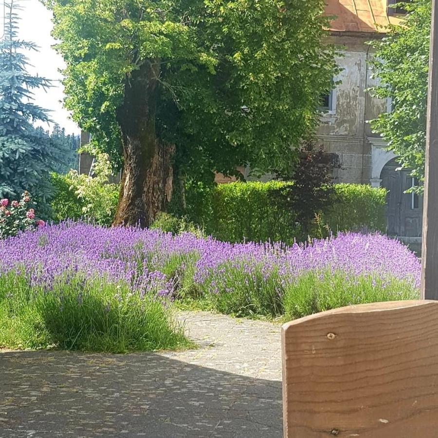 Fuzinarska Kuca Hotel Fužine Eksteriør billede